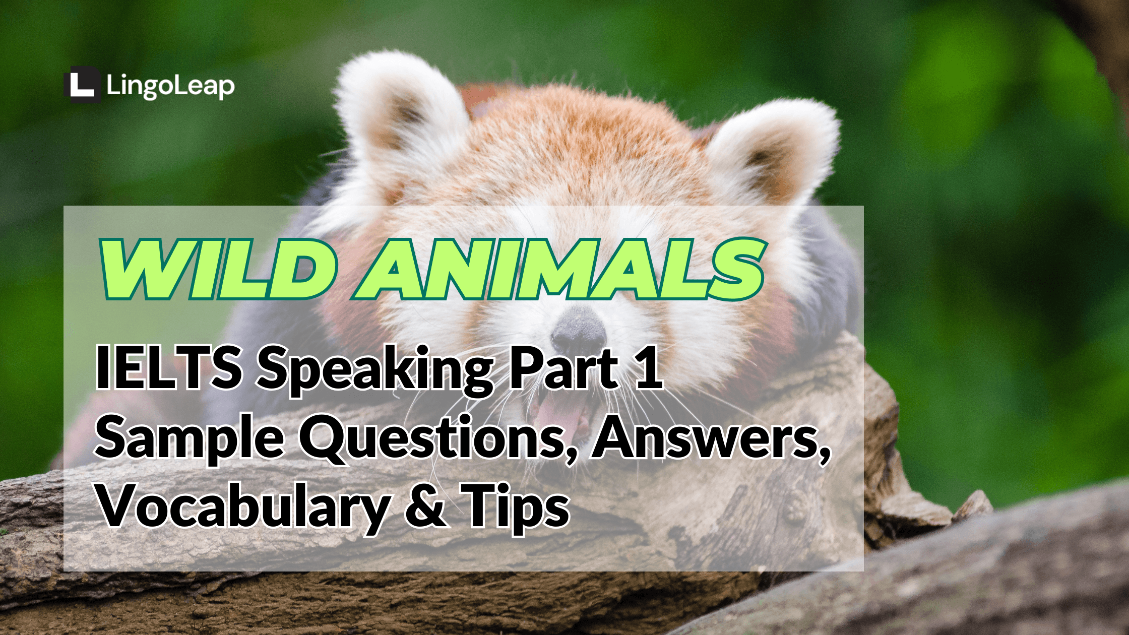 Wild Animals: IELTS Speaking Part 1 Questions, Band 8 Sample Answers, and Vocabulary